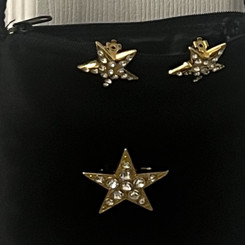 Mini crossbody bag  star brooch matching earrings